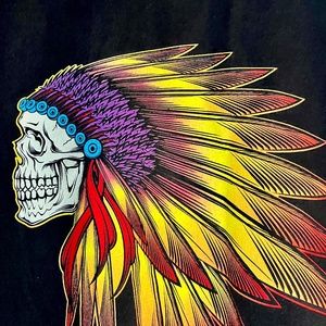 Vans Skateboarding Skull Indian Route 66 Tee Mens Med Black